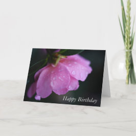 Tarjeta Elegante rosa de cerca con Dew Feliz cumpleaños C