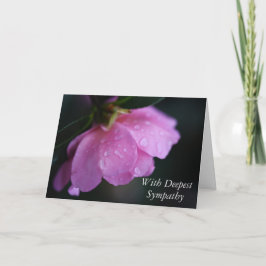 Tarjeta Elegante rosa rosa cerca de arriba con simpatía po