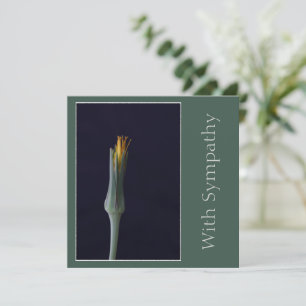 Tarjeta Elegante Sencilla Flor Única Simpatía Personalizad