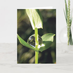 Tarjeta Elegante, simple, amante con la naturaleza del dew