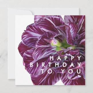 Tarjeta Elegante Tulipán Púrpura Floral Feliz Cumpleaños