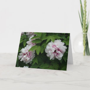 Tarjeta Elegantes personajes blancos flores simpatía por l