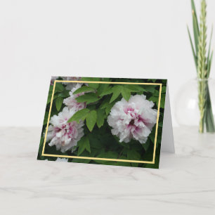 Tarjeta Elegantes personajes blancos fotográficos simpatía