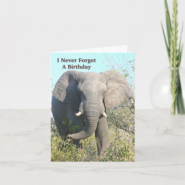 TARJETA ELEPHANT CAMINANDO HACIA CÁMARA (Anverso)