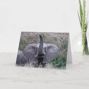 Tarjeta Elephant Hello Card
