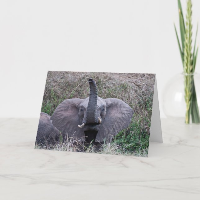 Tarjeta Elephant Hello Card (Anverso)