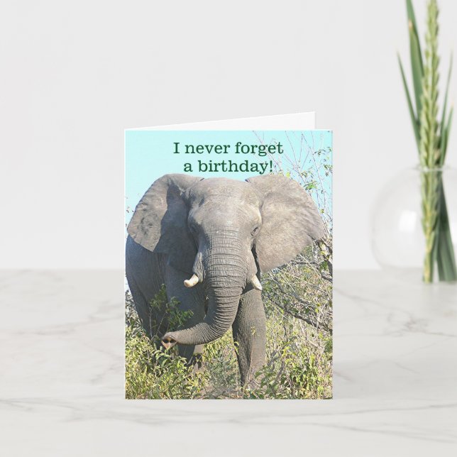 TARJETA ELEPHANT/I NUNCA OLVIDAN UN BIRTHDAY/EXCEPT EL (Anverso)