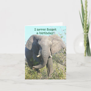 TARJETA ELEPHANT/I NUNCA OLVIDAN UN BIRTHDAY/EXCEPT EL