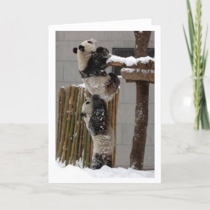 Tarjeta elevación de la panda