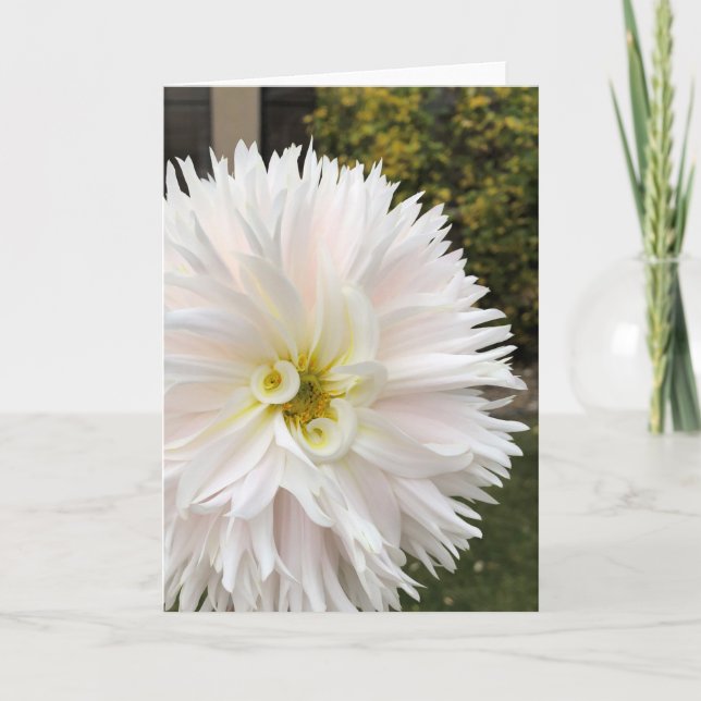 Tarjeta Elf Dahlia (Anverso)