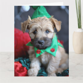 Tarjeta Elf Terrier de llanta blanda
