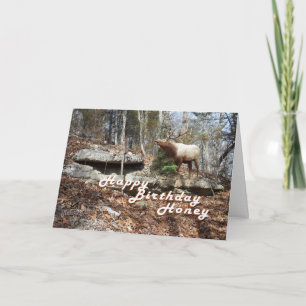 Tarjeta Elk Birthday