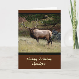Tarjeta Elk in the Wild