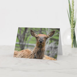 Tarjeta Elk Notecard