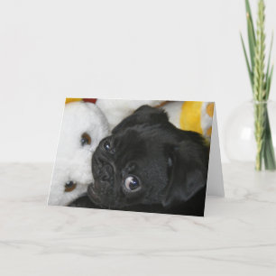 Tarjeta Elsa y peluche