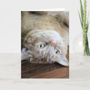 Tarjeta Embozar