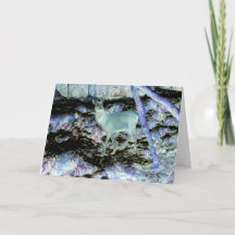 Embrujante Ambiente Mágico del Bosque Espeluznante