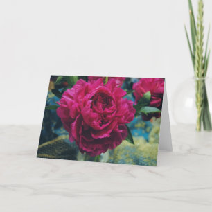 Tarjeta Emily's Peonies