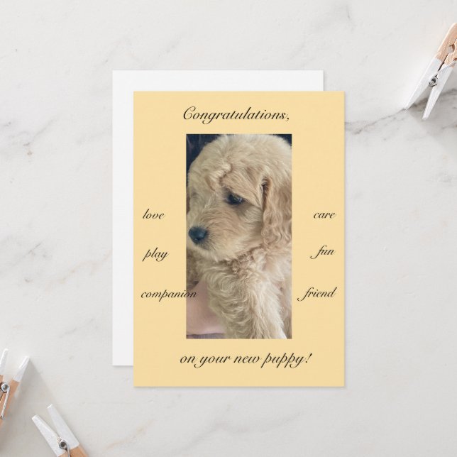 Tarjeta Emoción, alegría y diversión, nuevo cachorro, plan (Anverso/Reverso In Situ)