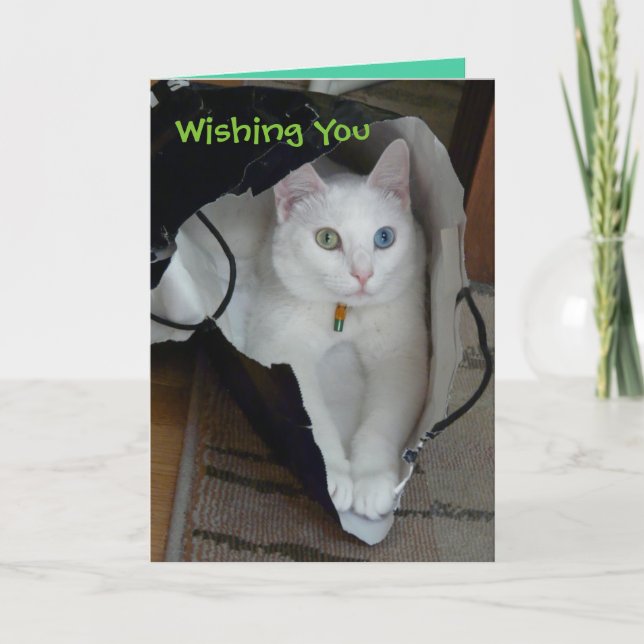 Tarjeta empaquetada serenidad del día de fiesta (Anverso)