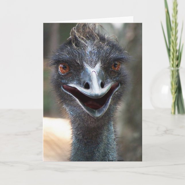Tarjeta ¡Emu que dice el HI! Imagen grande de los ojos del (Anverso)