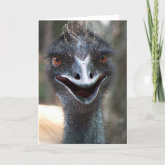 Tarjeta ¡Emu que dice el HI! Imagen grande de los ojos del