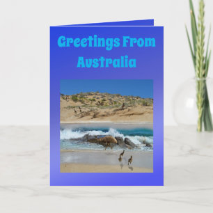 Tarjeta Emu y koala australianos, cumpleaños