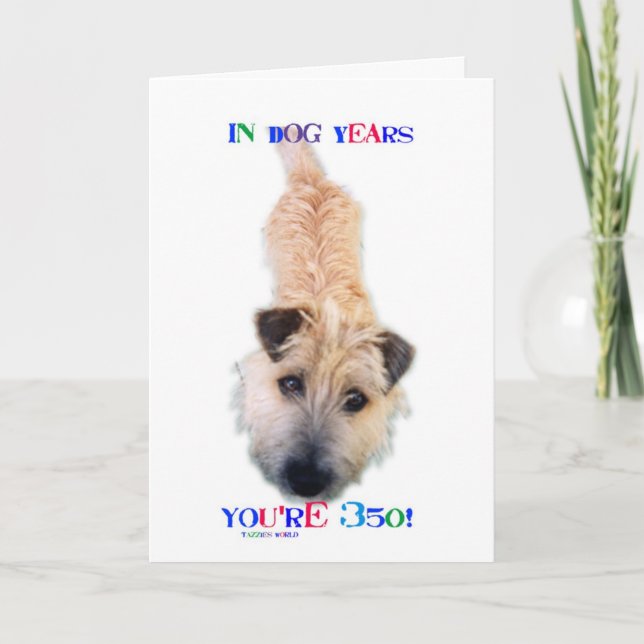 Tarjeta En años de perro tienes 350 años (Anverso)