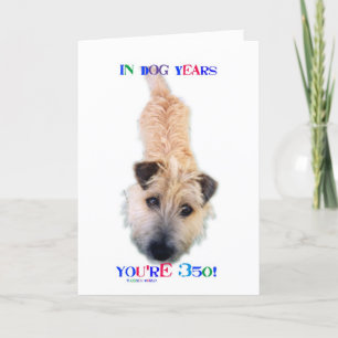 Tarjeta En años de perro tienes 350 años