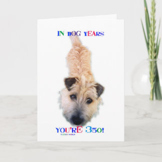 Tarjeta En años del perro usted es 350