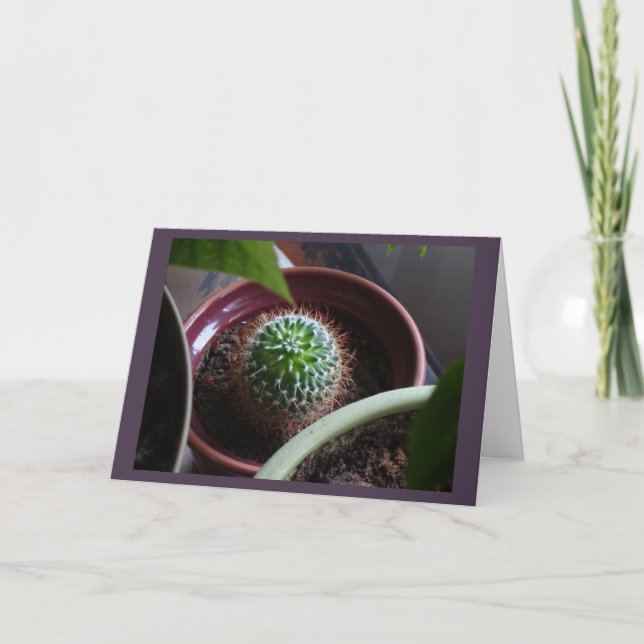 Tarjeta en blanco (Anverso)