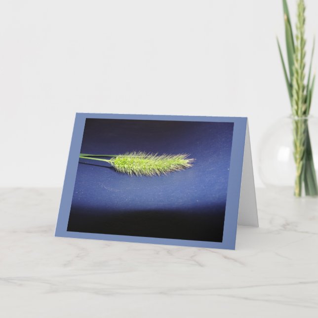 Tarjeta En blanco (Anverso)