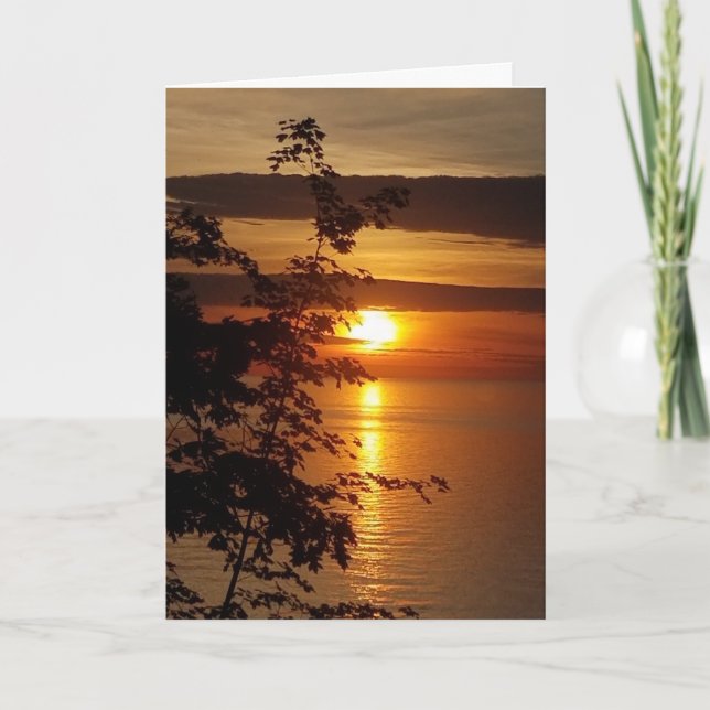 Tarjeta En blanco (Anverso)