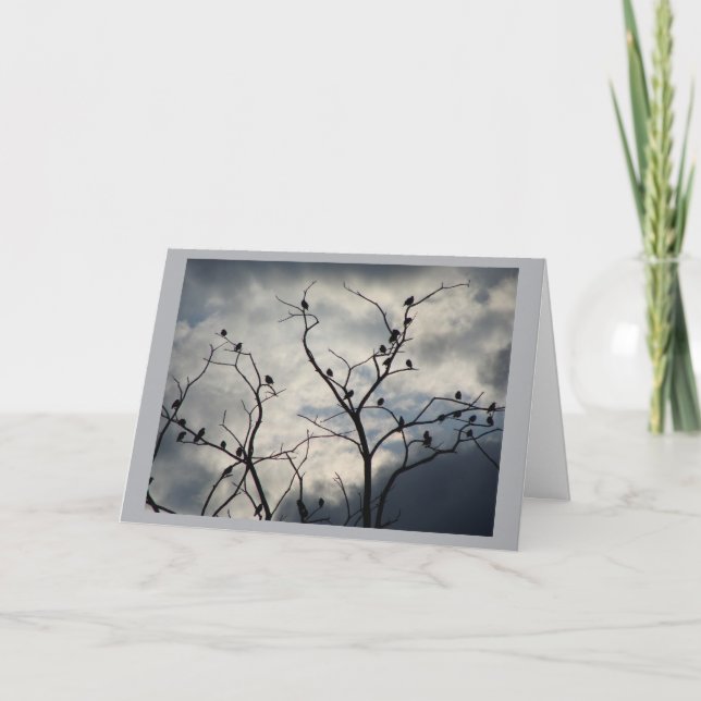 Tarjeta en blanco (Anverso)