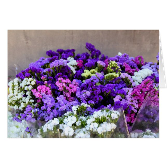 Tarjeta en blanco (Anverso (Horizontal))