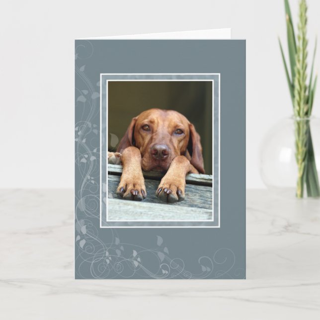 Tarjeta en blanco 002 de Vizsla del húngaro (Anverso)