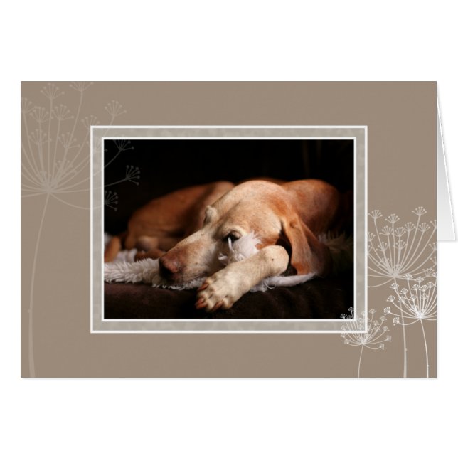 Tarjeta en blanco 004 de Vizsla del húngaro (Anverso (Horizontal))
