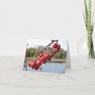 Tarjeta en blanco - Berries rojos