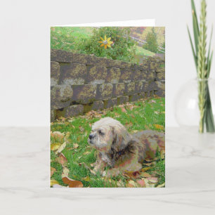 Tarjeta en blanco con adoptivo