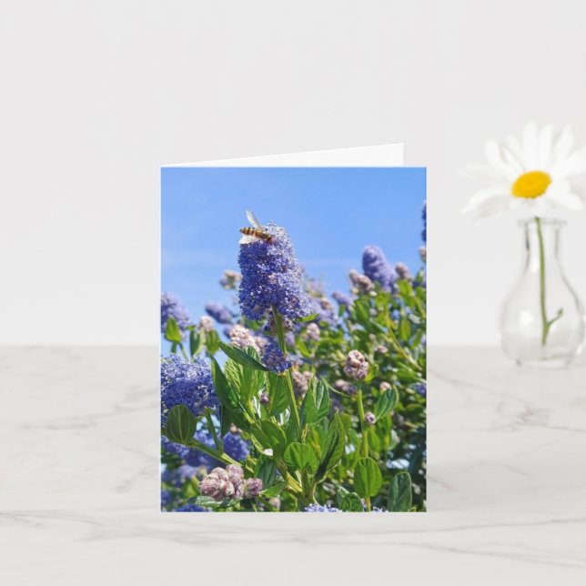 Tarjeta en blanco con flores de lila (Planta pequeña)