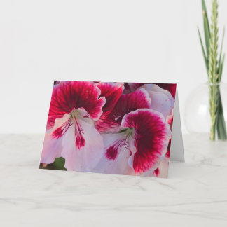 Tarjeta en blanco con flores rosas y blancas