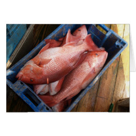 Tarjeta en blanco con fondo de complemento rojo