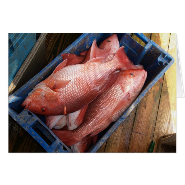 Tarjeta en blanco con fondo de complemento rojo (Anverso (Horizontal))