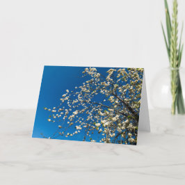 Tarjeta en blanco con imagen del árbol de flores