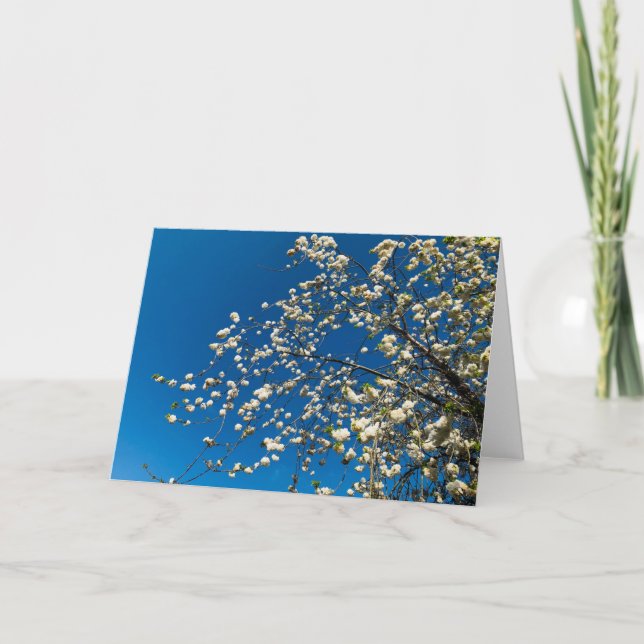 Tarjeta en blanco con imagen del árbol de flores (Anverso)