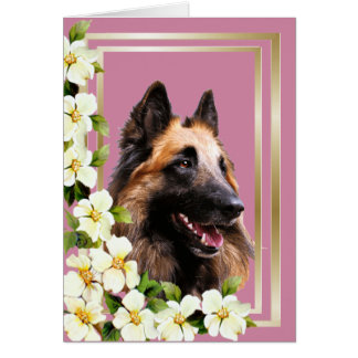 Tarjeta en blanco con marco de oro y Tervuren Dogw