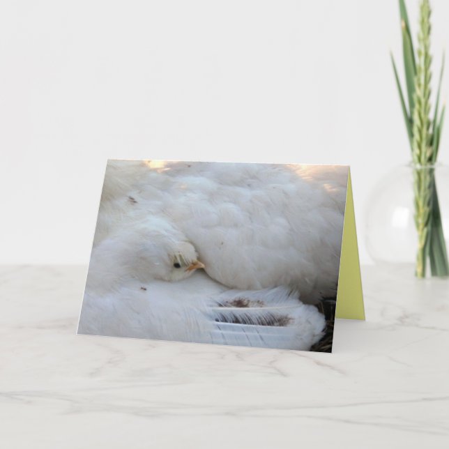 Tarjeta en blanco con verso (Anverso)