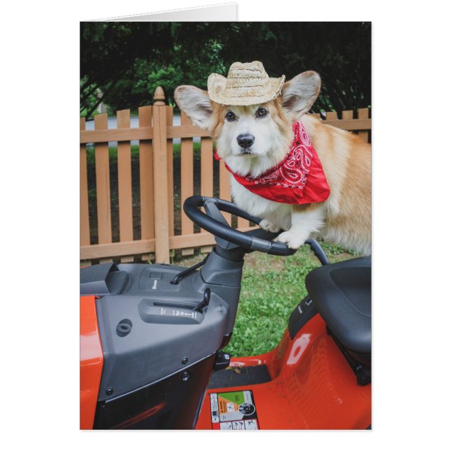Tarjeta en blanco Corgi para granjeros (Frente)