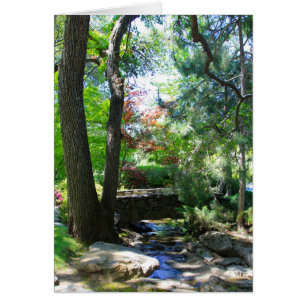 Tarjeta en blanco, corriente y puente