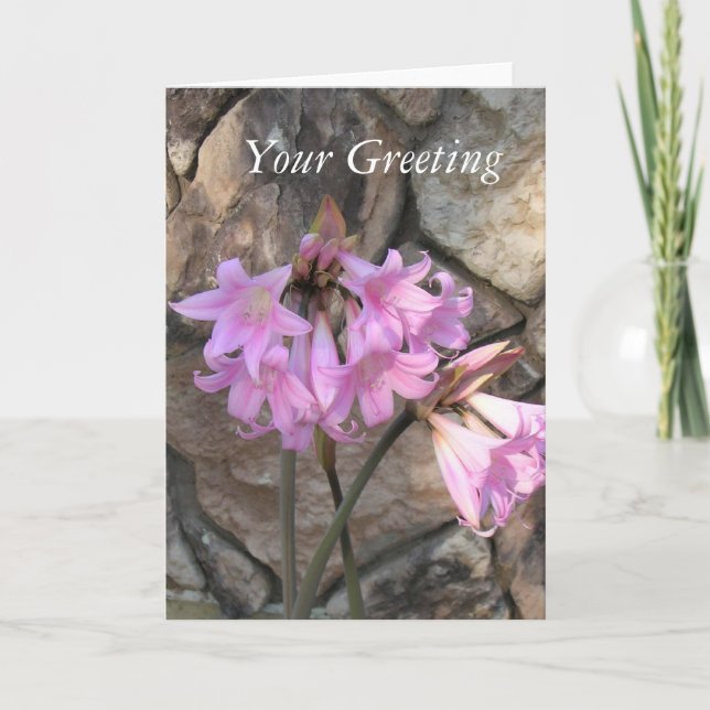 Tarjeta - en blanco - Damas rosadas (Anverso)